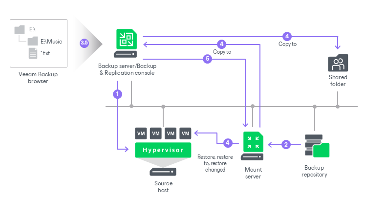 نمای رسمی فرایند File-Level Restore در Veeam