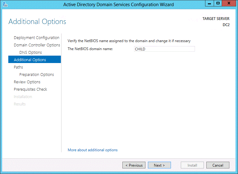 Additional Options و NetBIOS
