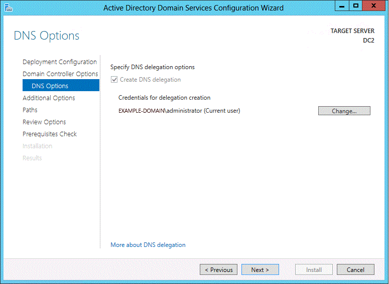 DNS Options و Delegation